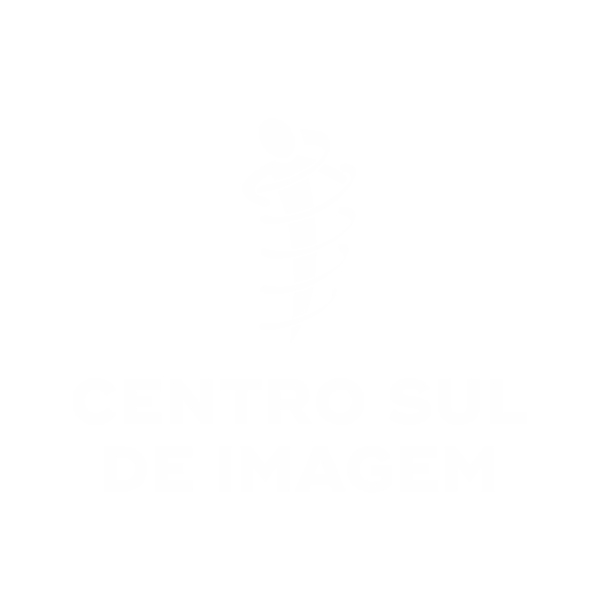 centro sul logo